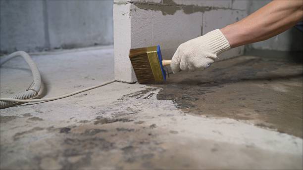 Top rated local Crawl Space Encapsulation specialists in Lansing, KS